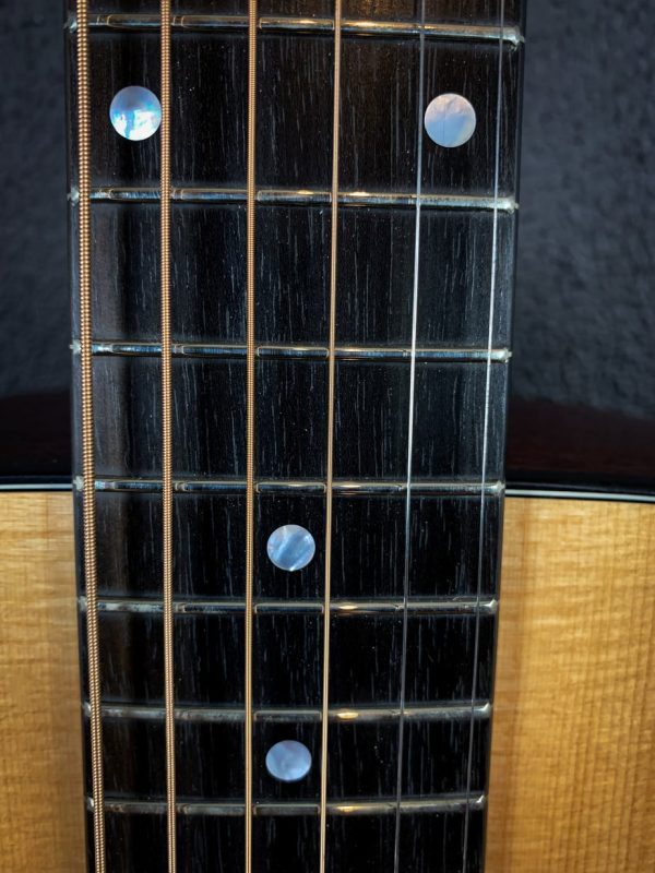 Eastman E1 OM – Image 5