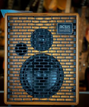 Acus One For Strings 6T (Acoustique)