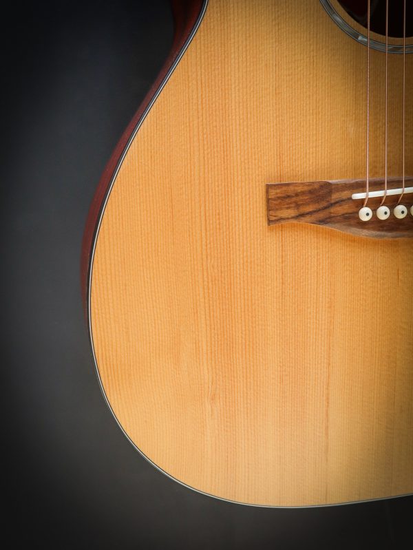 Eastman PCH1 OM – Image 5