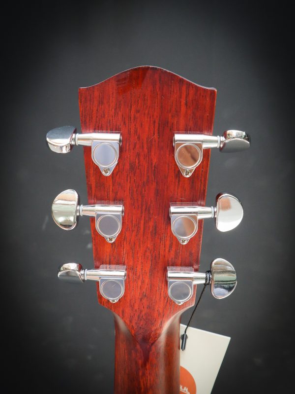 Eastman PCH1 GACE – Image 13