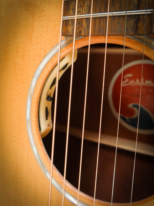 Eastman PCH1 GACE – Image 11