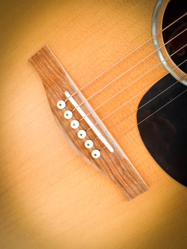 Eastman PCH1 GACE – Image 8