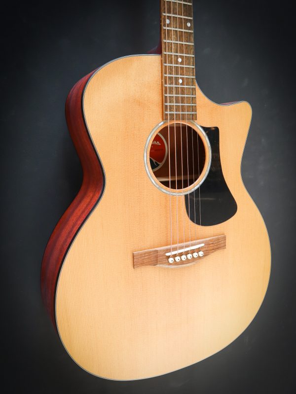 Eastman PCH1 GACE – Image 4