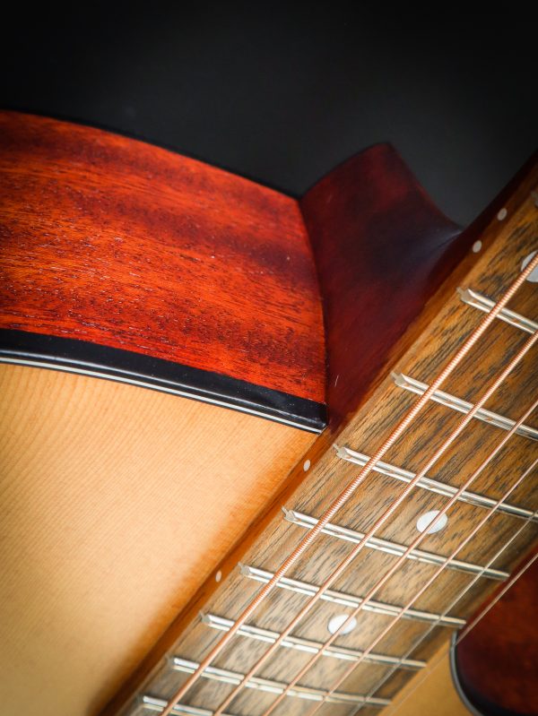 Eastman PCH1 GACE – Image 7