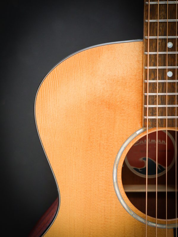 Eastman PCH1 GACE – Image 6