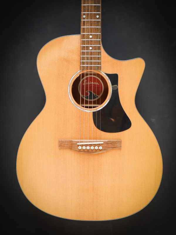 Eastman PCH1 GACE – Image 3