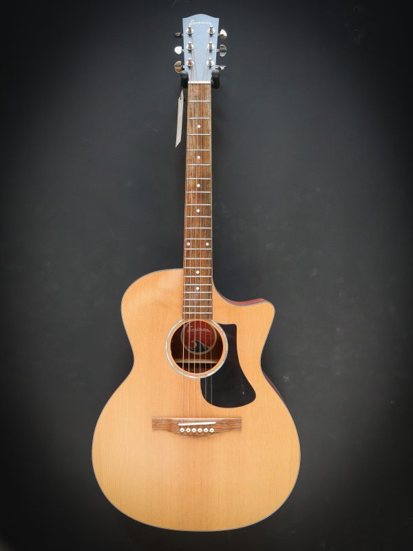 Eastman PCH1 GACE – Image 2