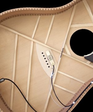 Micro acoustique L.R. Baggs Anthem