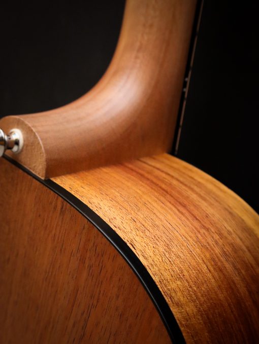 Maton Blackwood Series 70C – Image 17