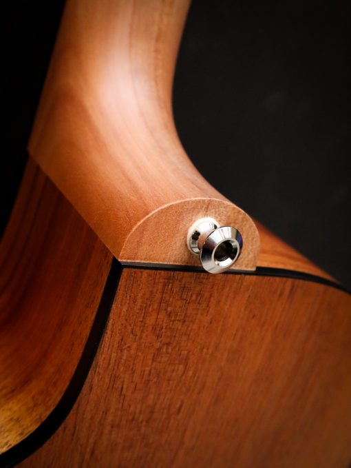 Maton Blackwood Series 70C – Image 16