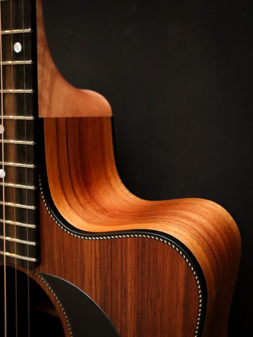 Maton Blackwood Series 70C – Image 8