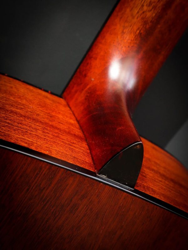 Eastman E1 D CLA – Image 15
