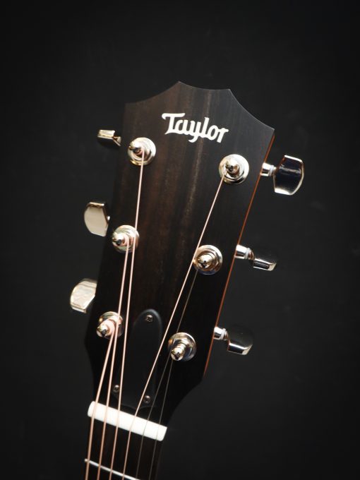 Taylor 214ce Plus – Image 14