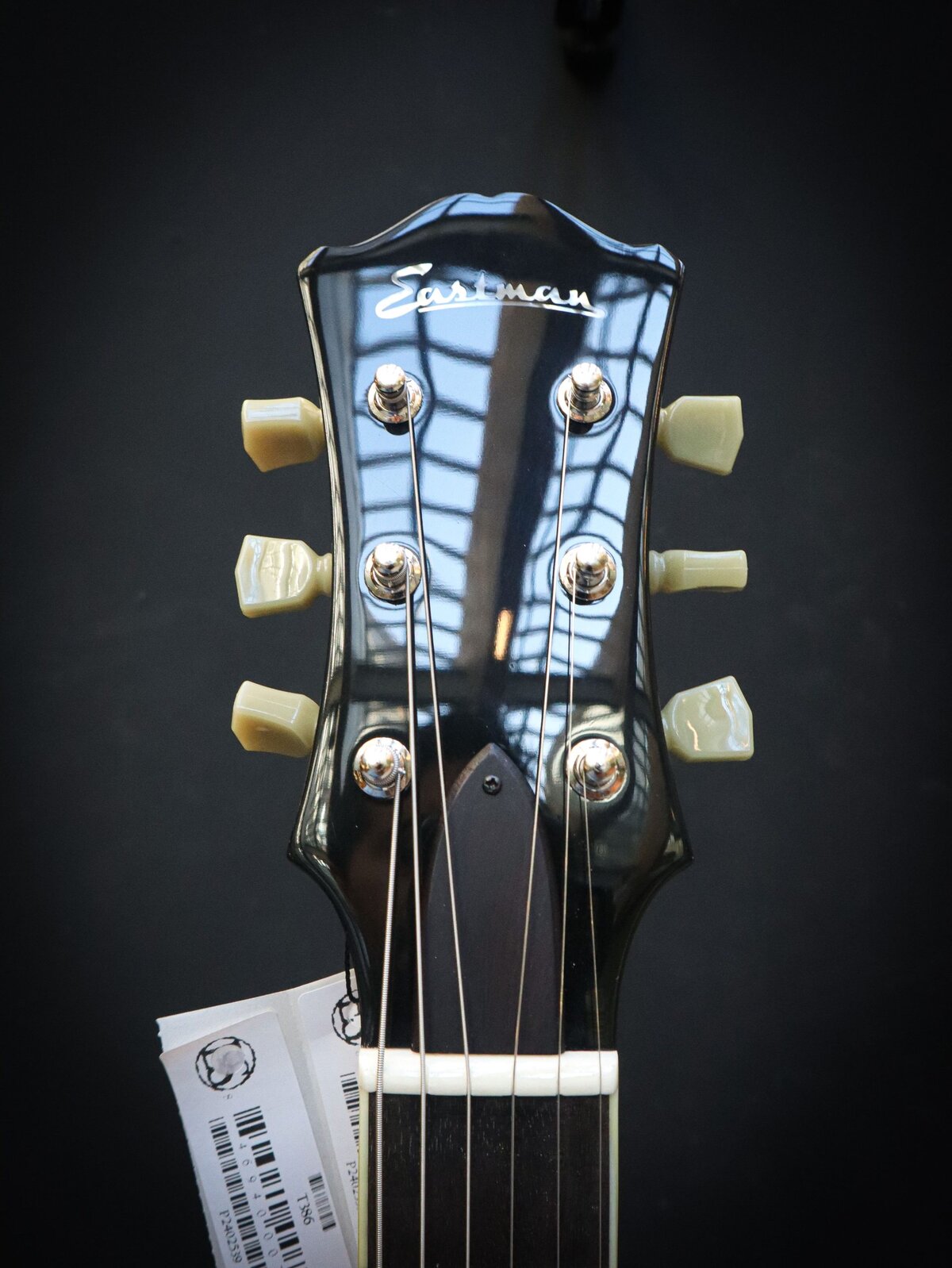 Eastman T386 Classic – Image 8