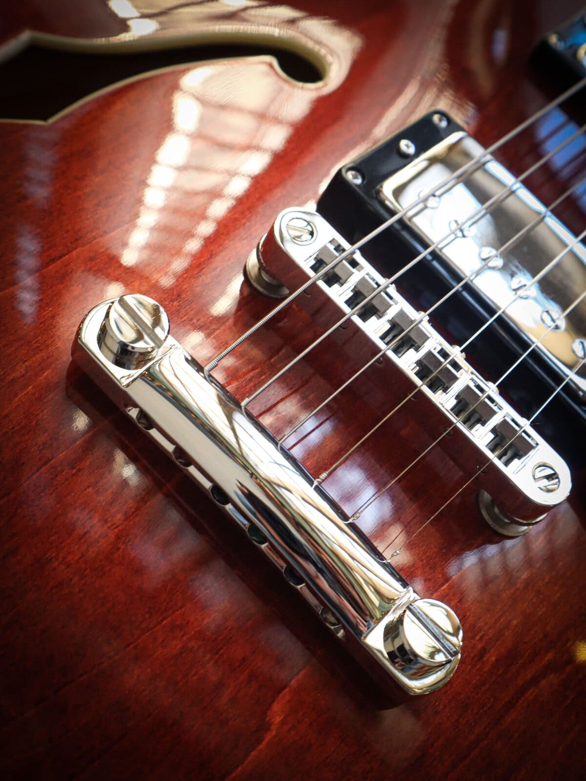 Eastman T386 Classic – Image 6