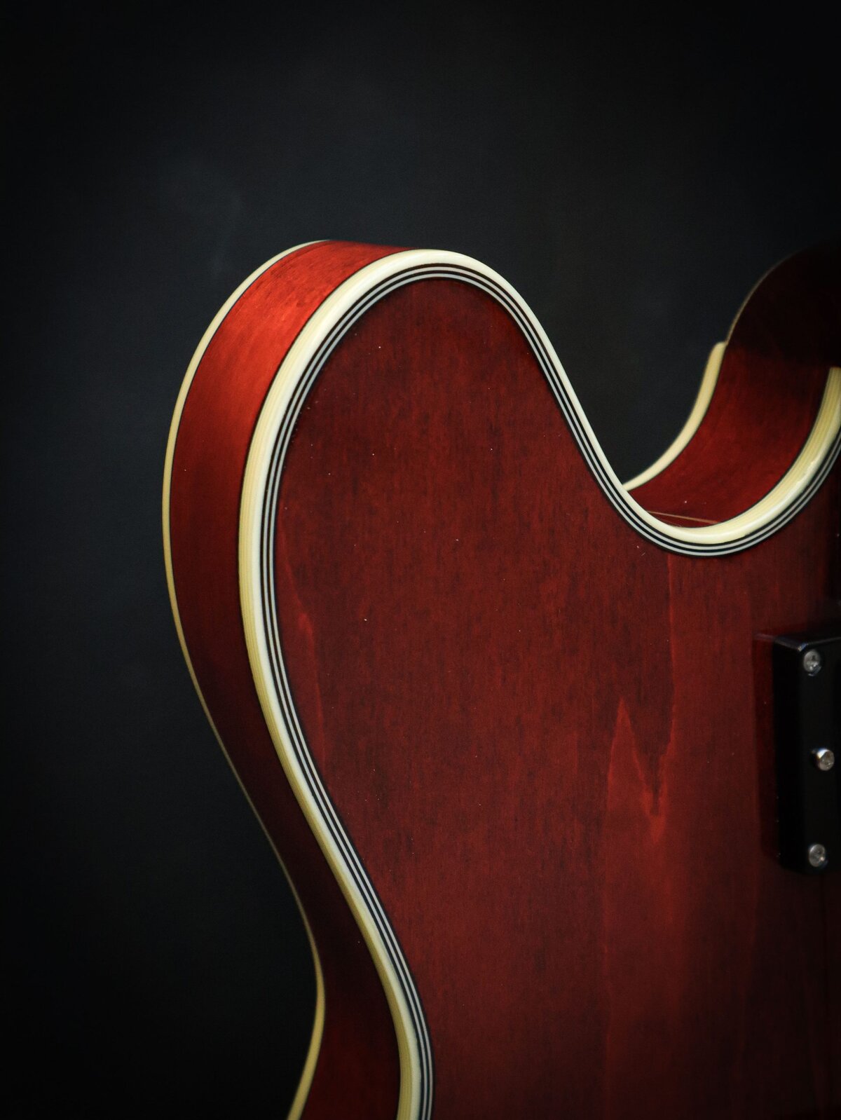 Eastman T386 Classic – Image 5