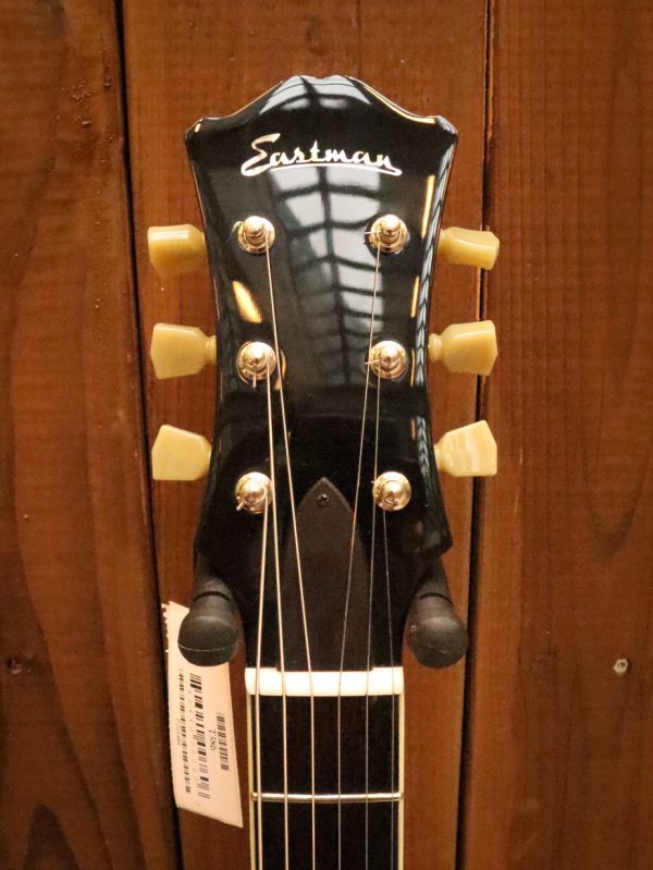Eastman T386 Classic – Image 7