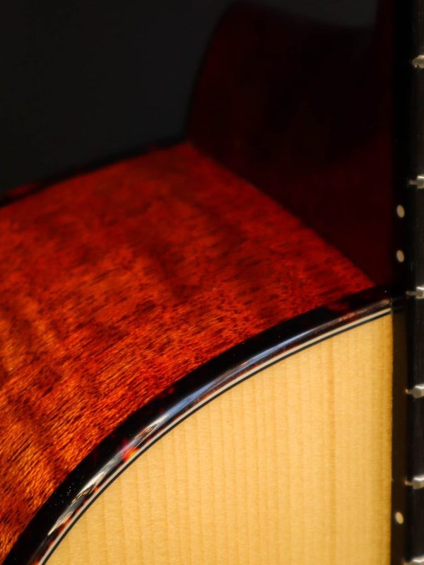 Eastman E10P – Image 5