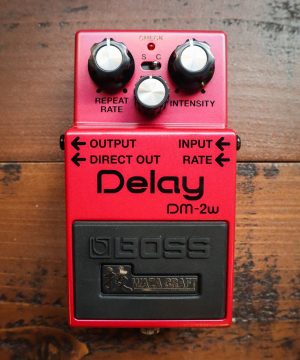 Boss DM-2W