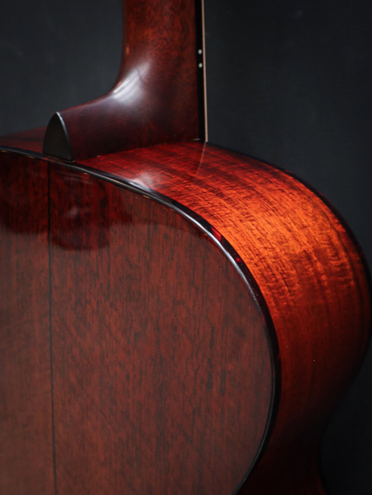 Eastman E6 OM TC – Image 17