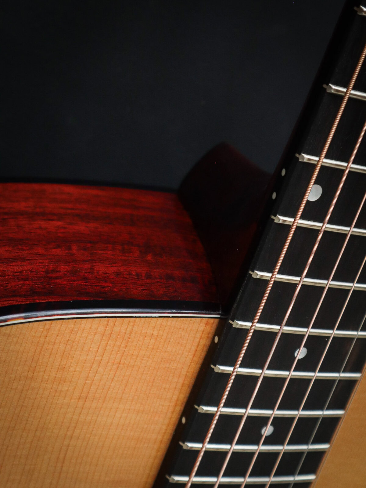 Eastman E6 OM TC – Image 9