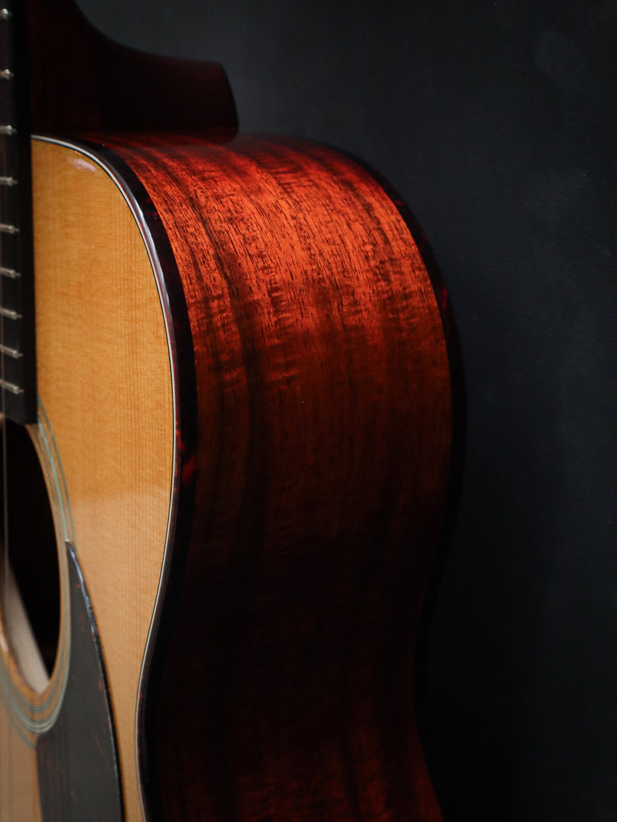 Eastman E6 OM TC – Image 10