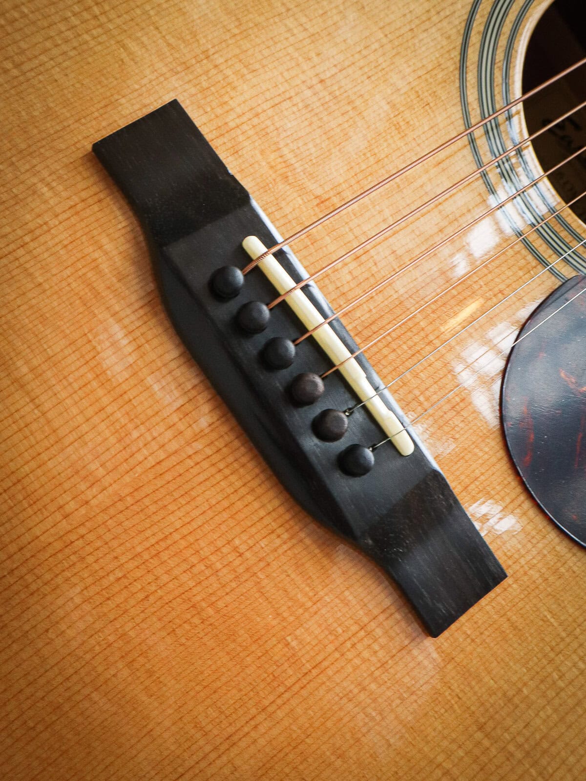 Eastman E6 OM TC – Image 6