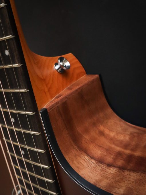Taylor 114CE-SB Special Edition – Image 11