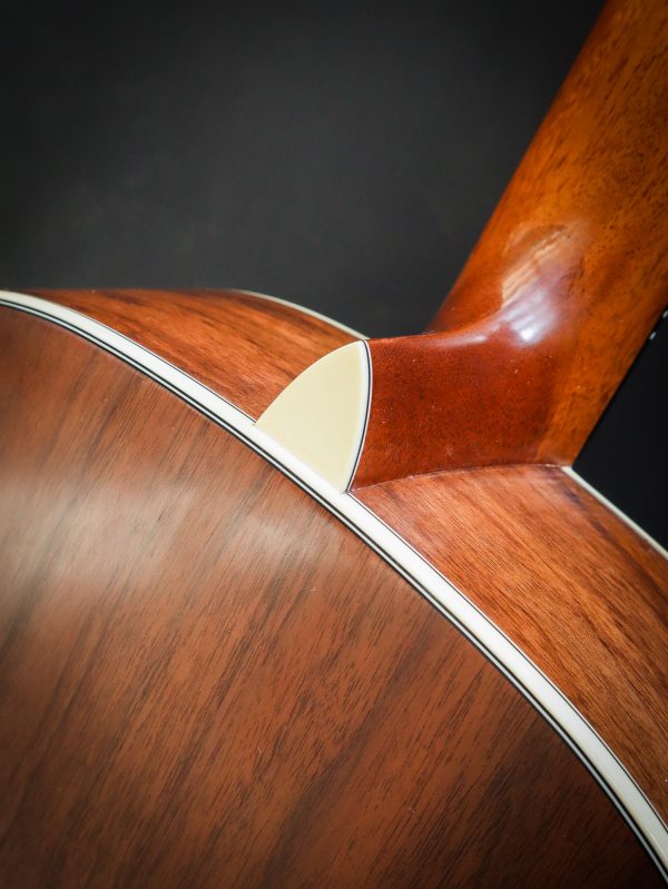 Eastman E22 SS/V-SB – Image 17