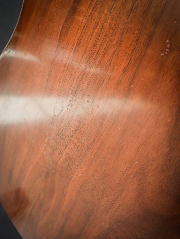 Eastman E22 SS/V-SB – Image 20