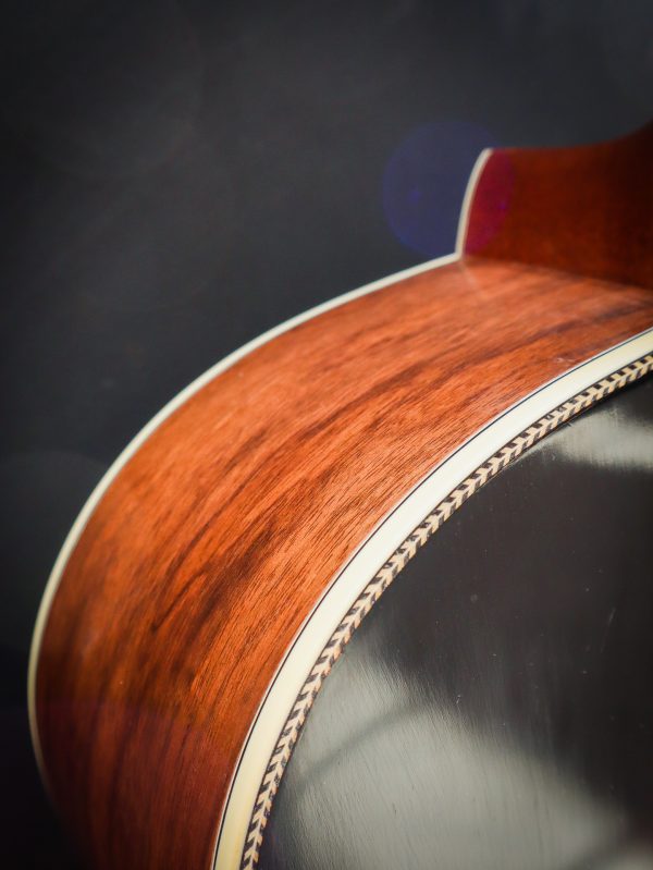 Eastman E22 SS/V-SB – Image 10