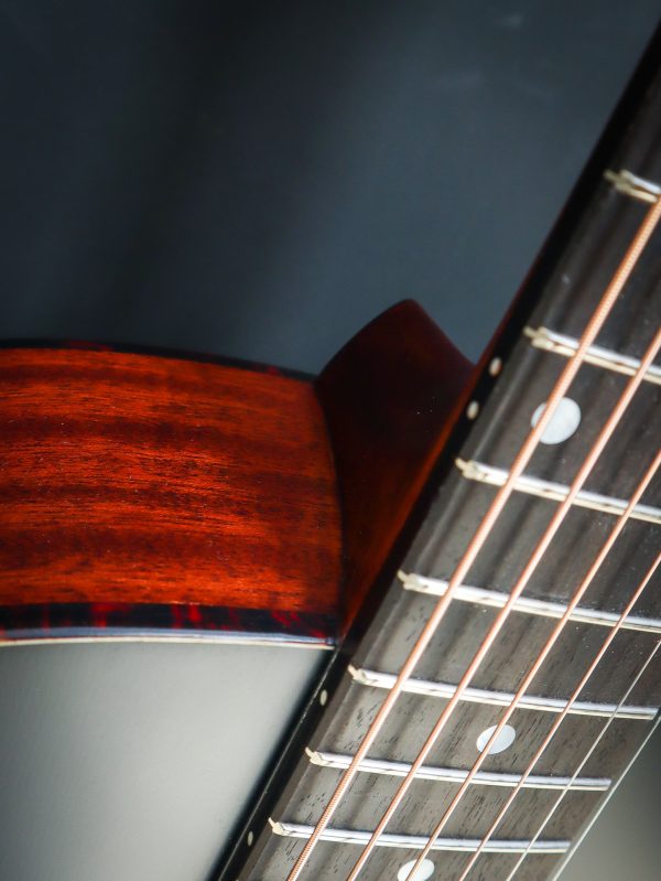 Eastman E1OOSS-SB – Image 6