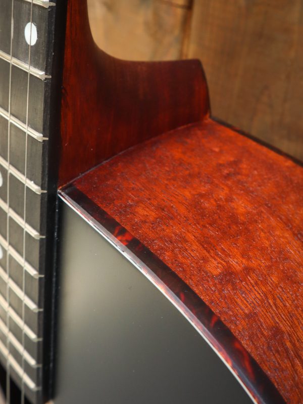 Eastman E2 D (Copy) – Image 10