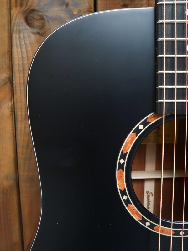 Eastman E2 D (Copy) – Image 7
