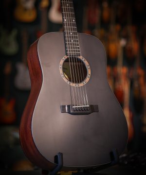 Eastman E2 D (Copy)