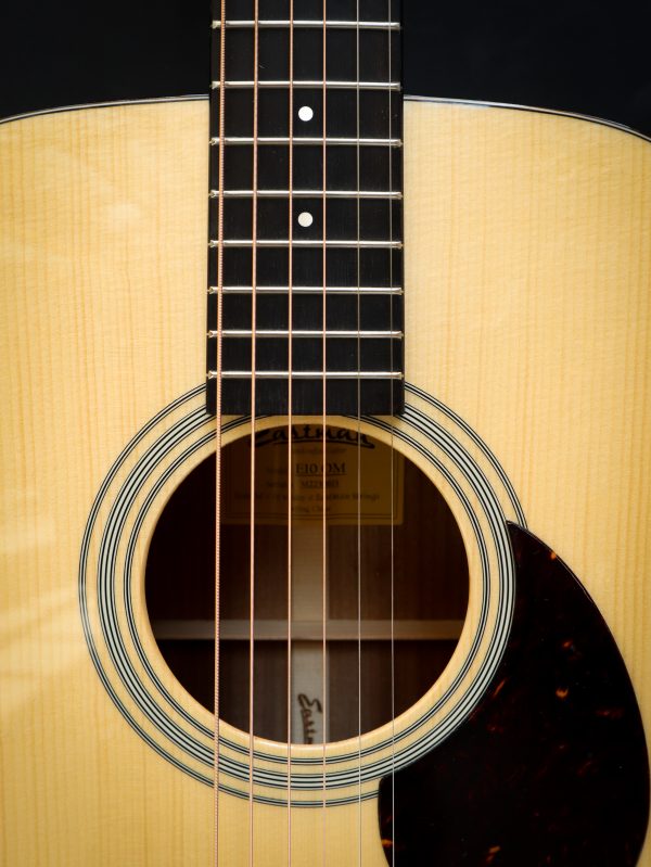 Eastman E10 OM – Image 13