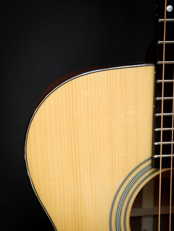 Eastman E10 OM – Image 15