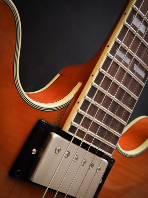 Stanford Crossroads 35 Thinline – Image 7