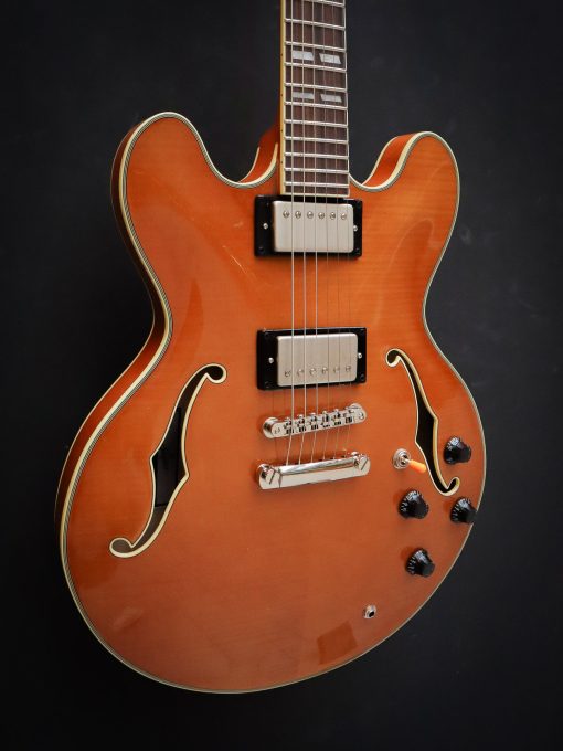 Stanford Crossroads 35 Thinline – Image 6