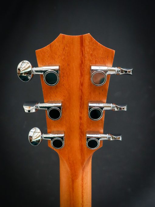 Taylor GS Mini Sapele – Image 7