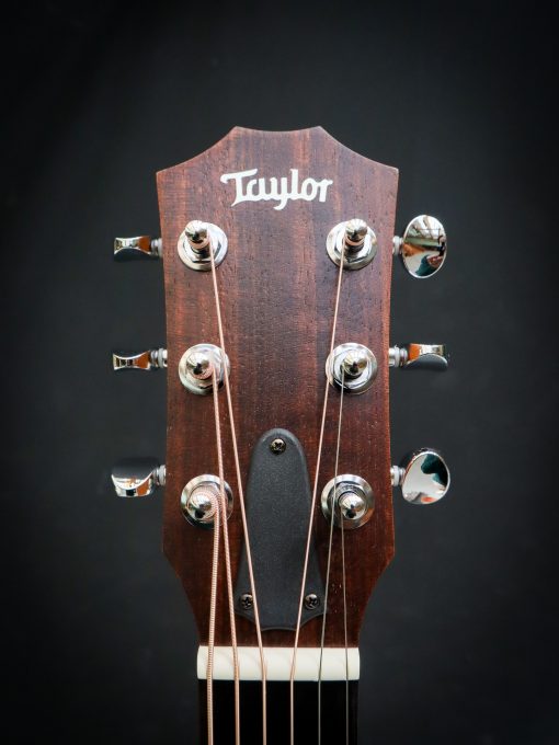 Taylor GS Mini Sapele – Image 6