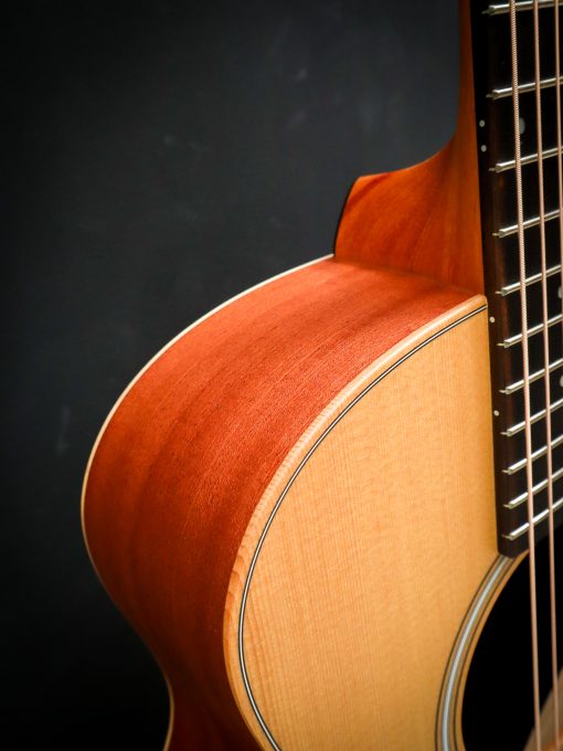 Taylor GS Mini Sapele – Image 5