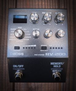 Boss RV-200