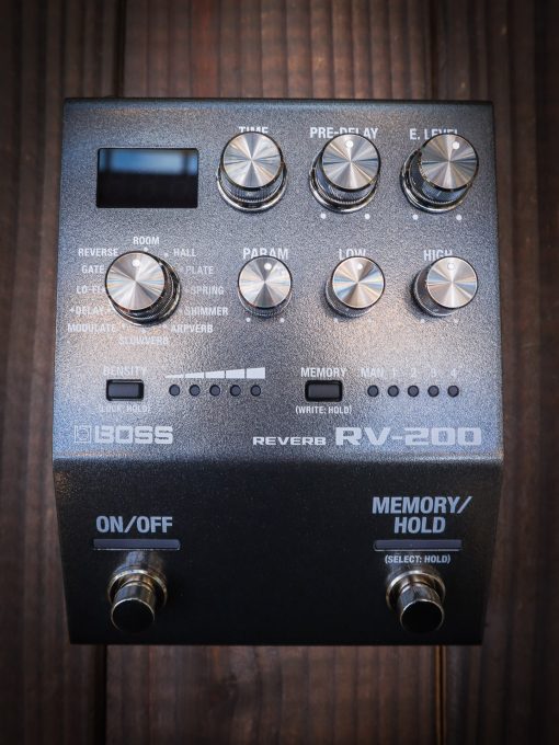 Boss RV-200