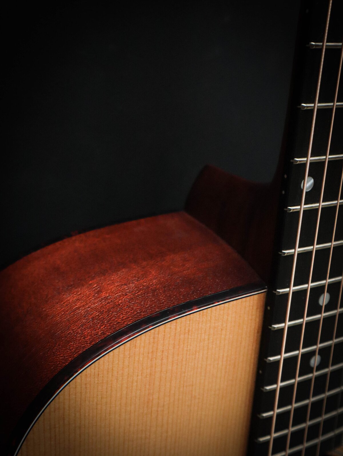 Eastman E1 D – Image 6