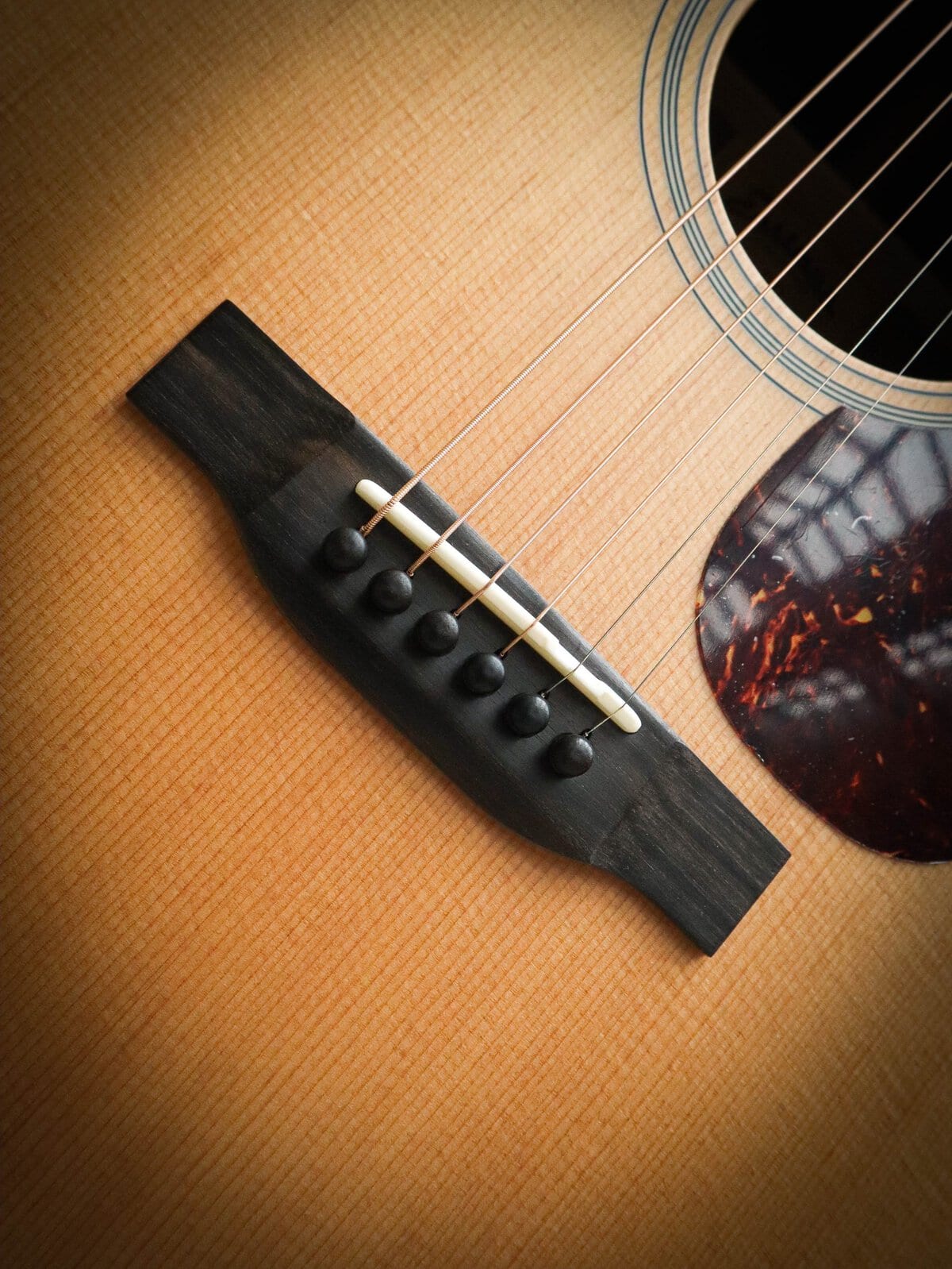 Eastman E1 D – Image 5