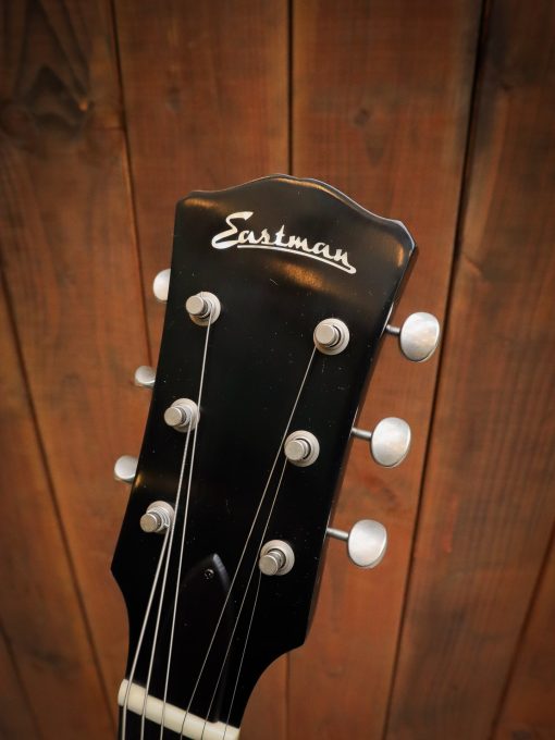 Eastman SB55/v – Image 13