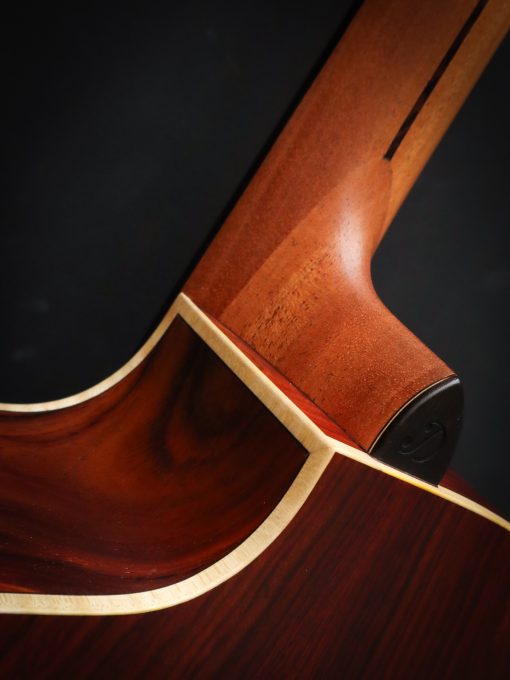 Dowina Master Series Acero GAC DS – Image 17