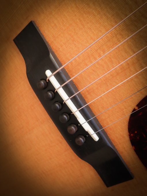 Eastman E1 D – Image 8