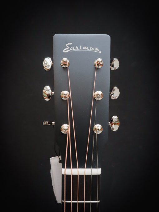 Eastman E1D Special – Image 10